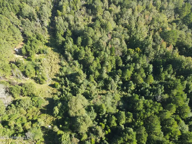 $42,000 | 0 Northwest Toy Drive, Brookhaven, MS 39601