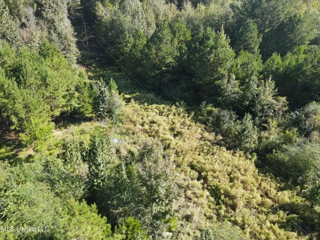 $42,000 | 0 Northwest Toy Drive, Brookhaven, MS 39601