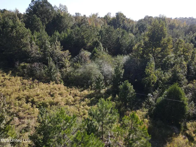 $42,000 | 0 Northwest Toy Drive, Brookhaven, MS 39601