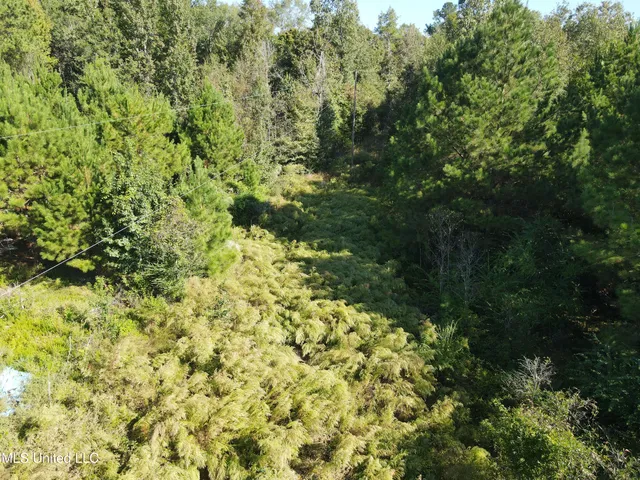 $42,000 | 0 Northwest Toy Drive, Brookhaven, MS 39601