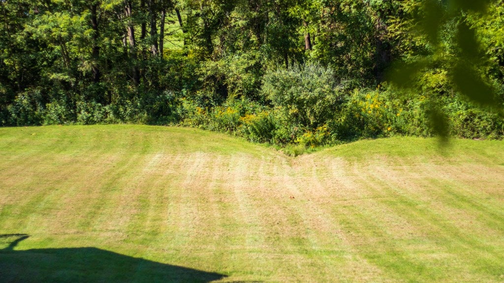 235 Shrader Road Cedar Bluff, VA 24609 - Photo 13 of 28 Gallery Image 13