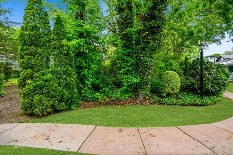 a view of a park with plants and large trees