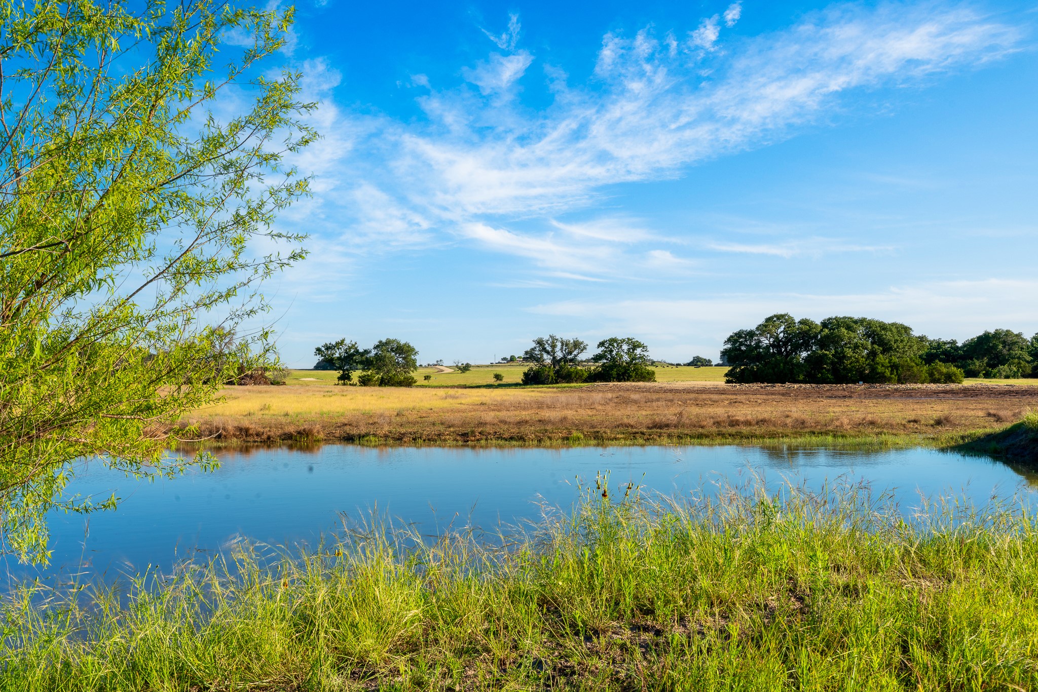 32 Feild Ranch Road Burnet, TX 78611 - Photo 34 of 40 Reflecting clear blue skies, a tranquil pond enhances this verdant landscape.