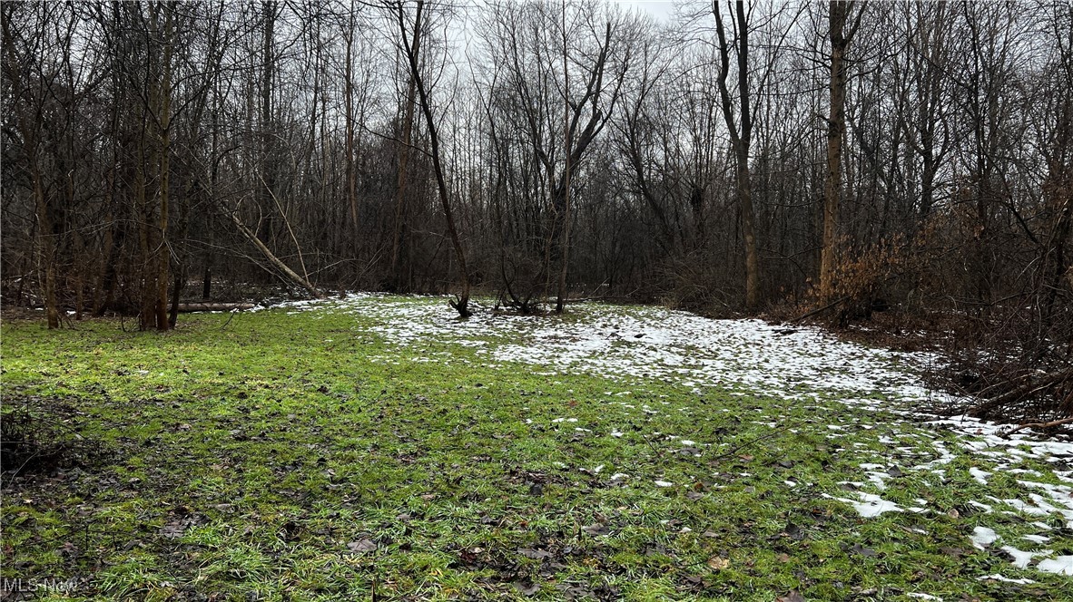 Braceville Robinson Rd Road Newton Falls, OH 44444 - Photo 17 of 50 Gallery Image 17