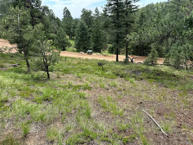 a view of outdoor space with trees all around
