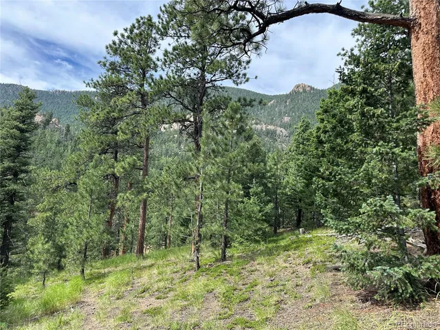 a view of outdoor space and trees all around