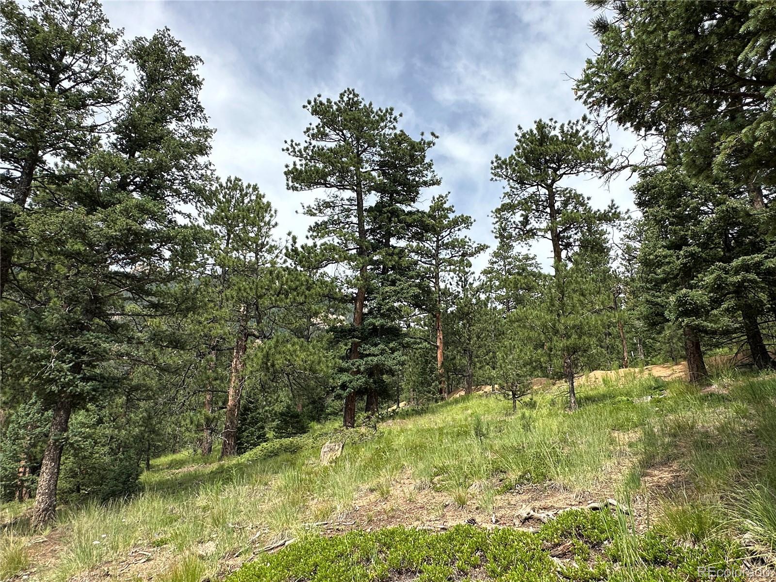 116 Happy Valley Road Manitou Springs, CO 80829 - Photo 17 of 25 a view of outdoor space and trees