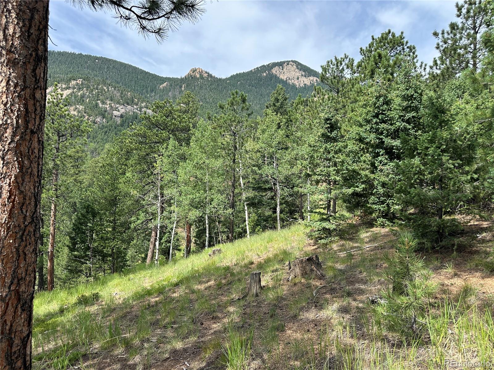 116 Happy Valley Road Manitou Springs, CO 80829 - Photo 3 of 25 a view of a field with plants and a bench