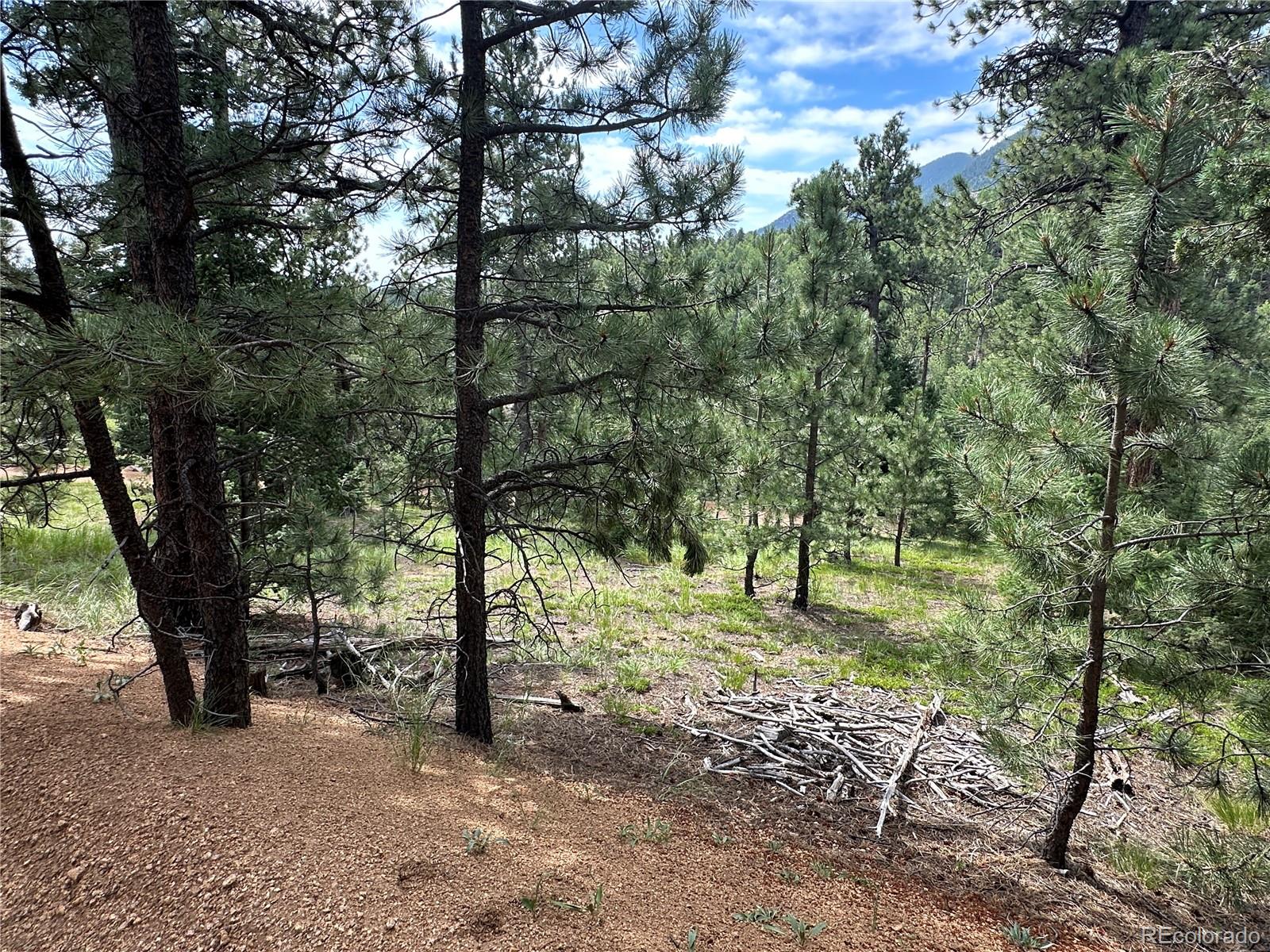 116 Happy Valley Road Manitou Springs, CO 80829 - Photo 8 of 25 a view of outdoor space with trees
