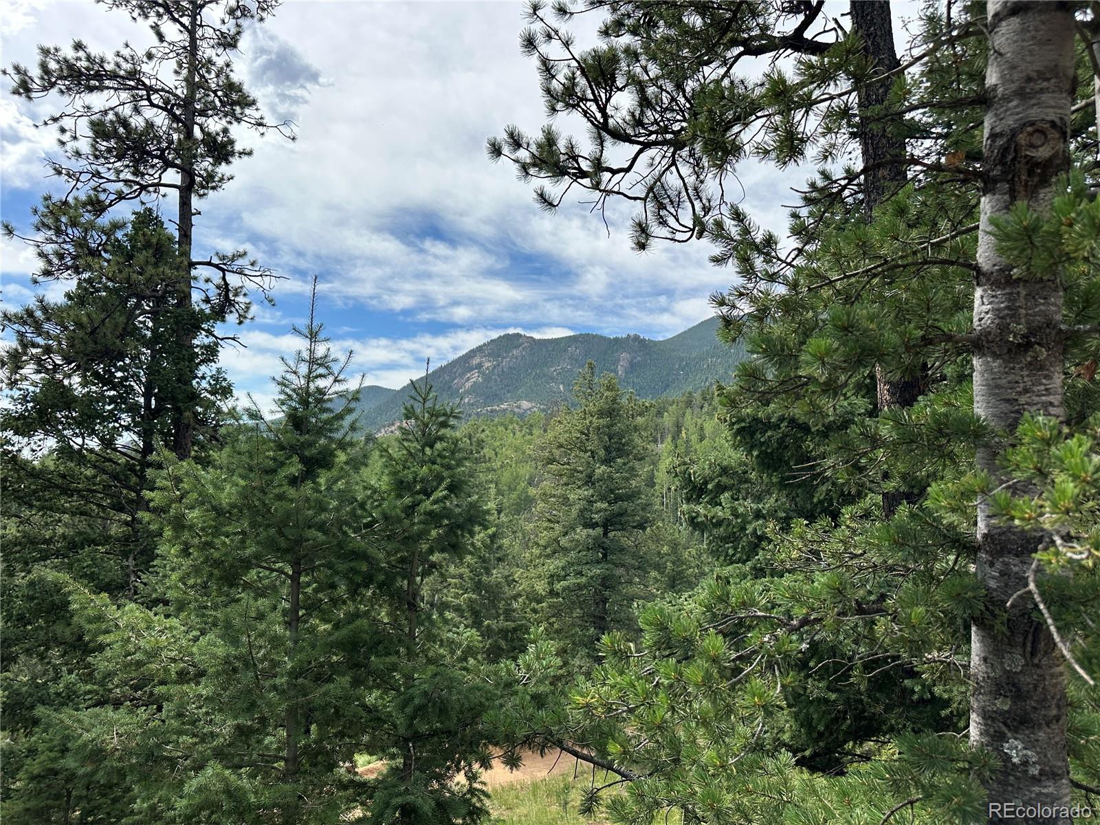 116 Happy Valley Road Manitou Springs, CO 80829 - Photo 10 of 25 a view of a city with lush green forest