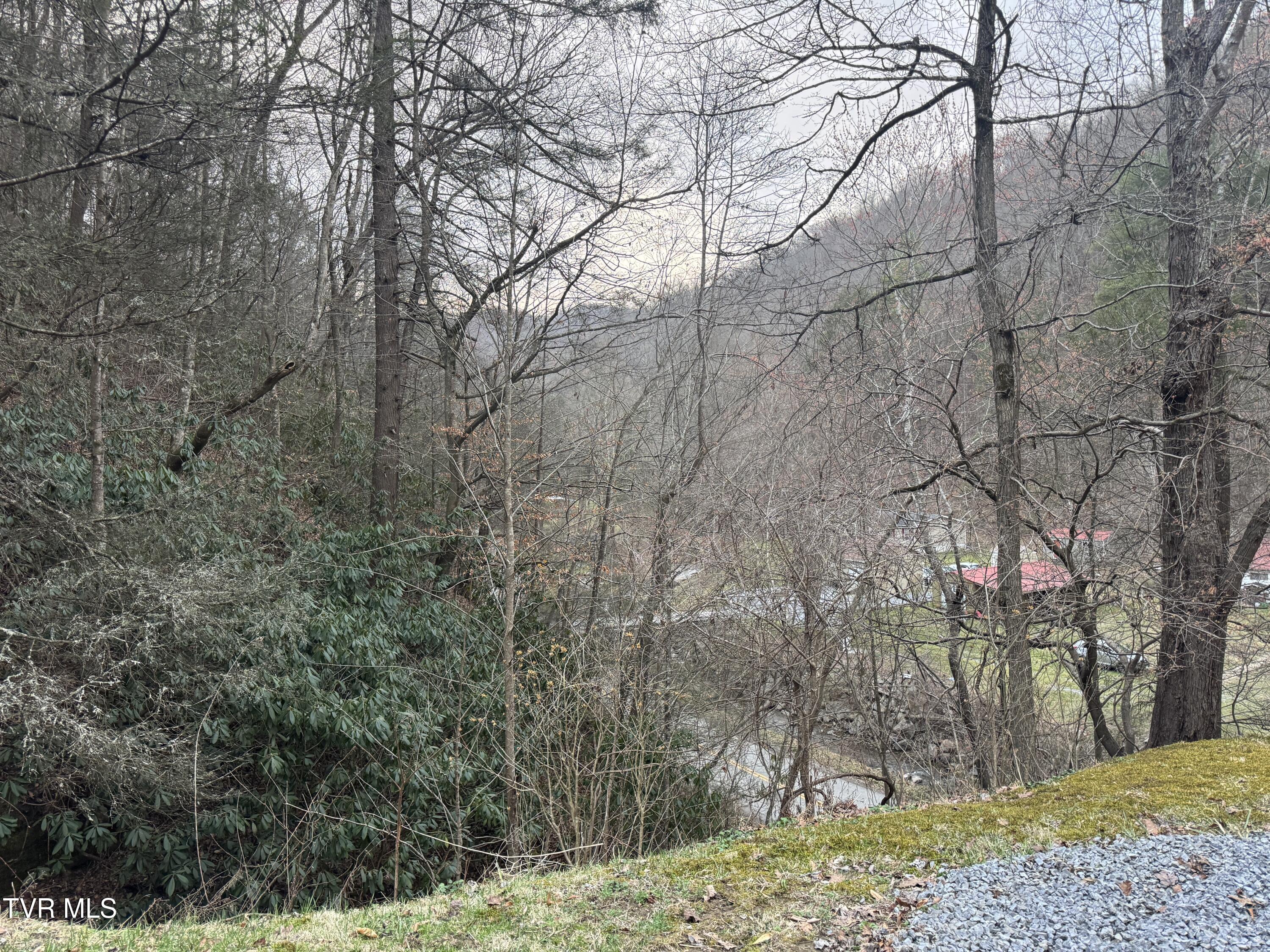 195 Hanging Tree Road Dante, VA 24237 - Photo 18 of 20 IMG_5601