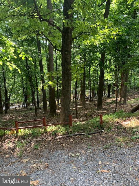 1192 High Knob Road Front Royal, VA 22630 - Photo 3 of 38