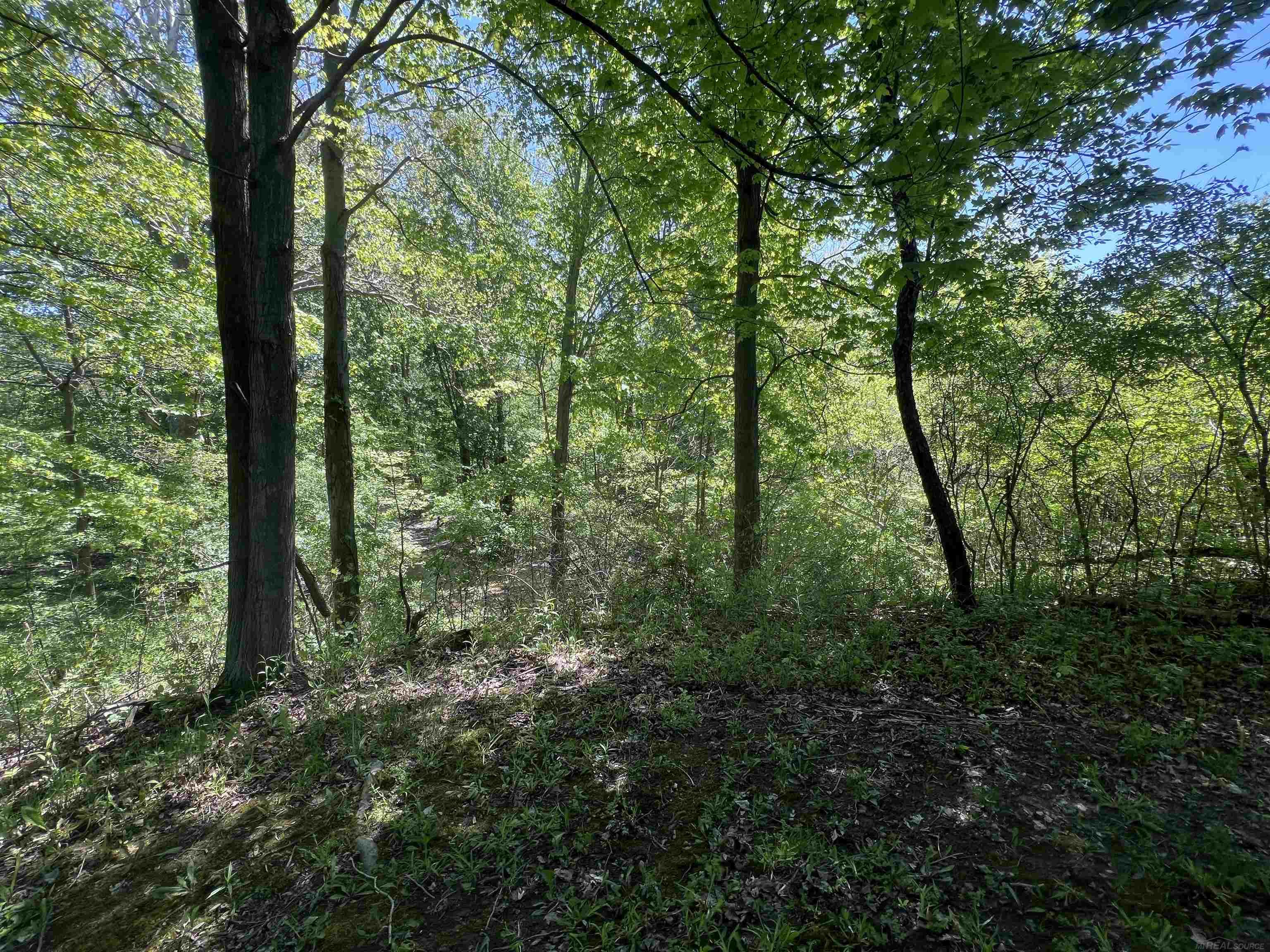 3747 Westrick Road East China, MI 48054 - Photo 7 of 99