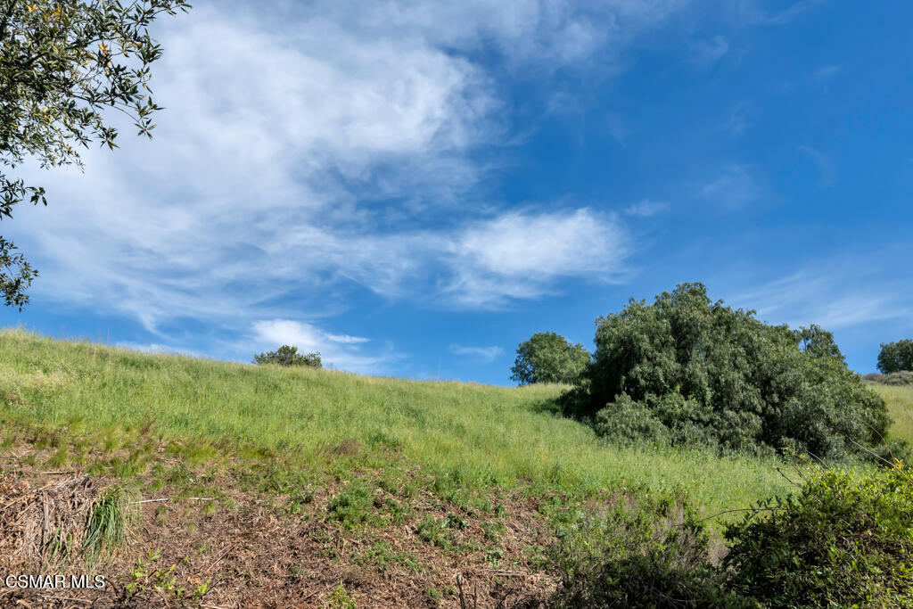 3842 Timberridge Road Moorpark, CA 93021 - Photo 53 of 75 3842 Timberridge Rd- HsHProd-60