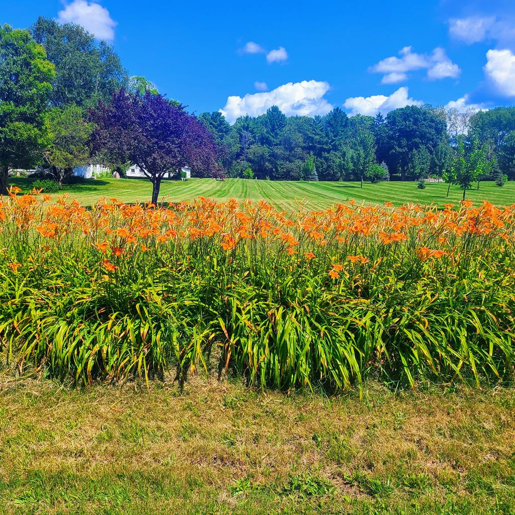 Tbd Cove Road Sturgeon Bay, WI 54235 - Photo 1 of 15