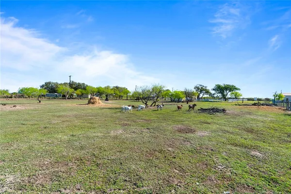 a view of a field with ocean view