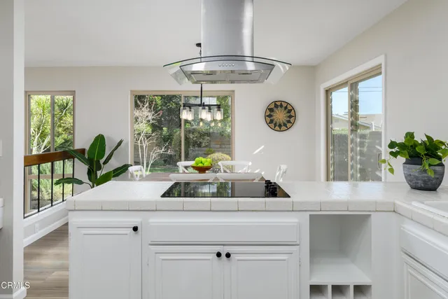 a sink a window and a potted plant