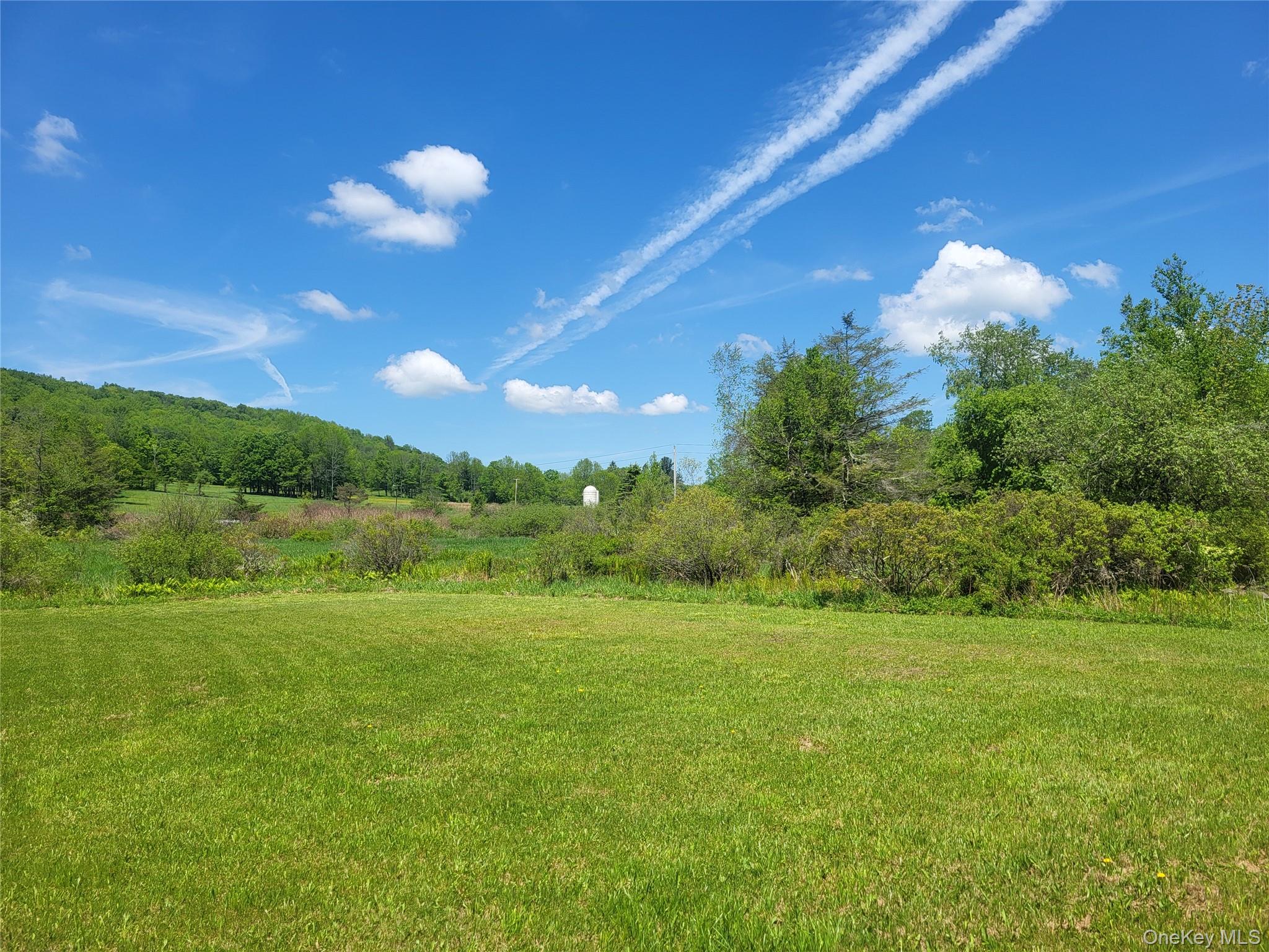 308 William Brown Road Fremont, NY 12741 - Photo 31 of 33 a view of a big yard