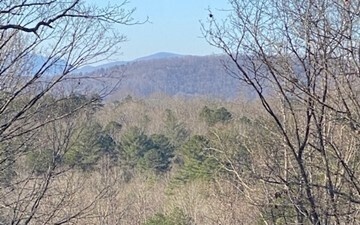 1 High Meadows Morganton, GA 30560 - Photo 1 of 7 Main View