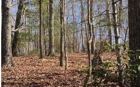 1 High Meadows Morganton, GA 30560 - Photo 4 of 7 Additional View