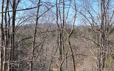 1 High Meadows Morganton, GA 30560 - Photo 5 of 7 Additional View