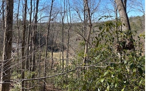 1 High Meadows Morganton, GA 30560 - Photo 6 of 7 Additional View