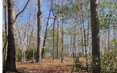 1 High Meadows Morganton, GA 30560 - Photo 7 of 7 Additional View