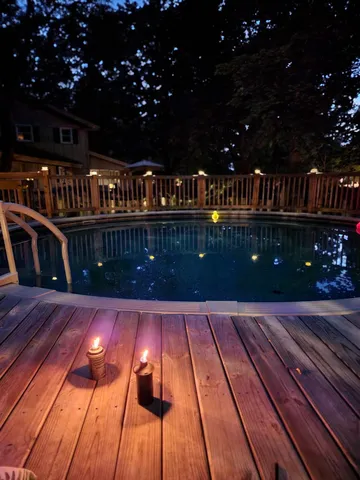 a view of a yard with plants and a large tree