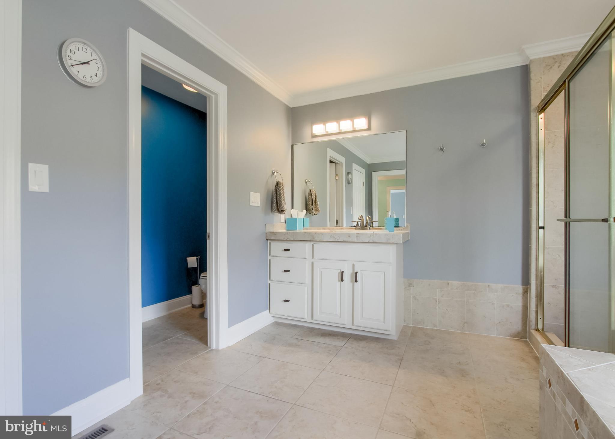 2302 Scarsborough Drive Harrisburg, PA 17112 - Photo 44 of 69 a spacious bathroom with a double vanity sink a mirror and a bathtub