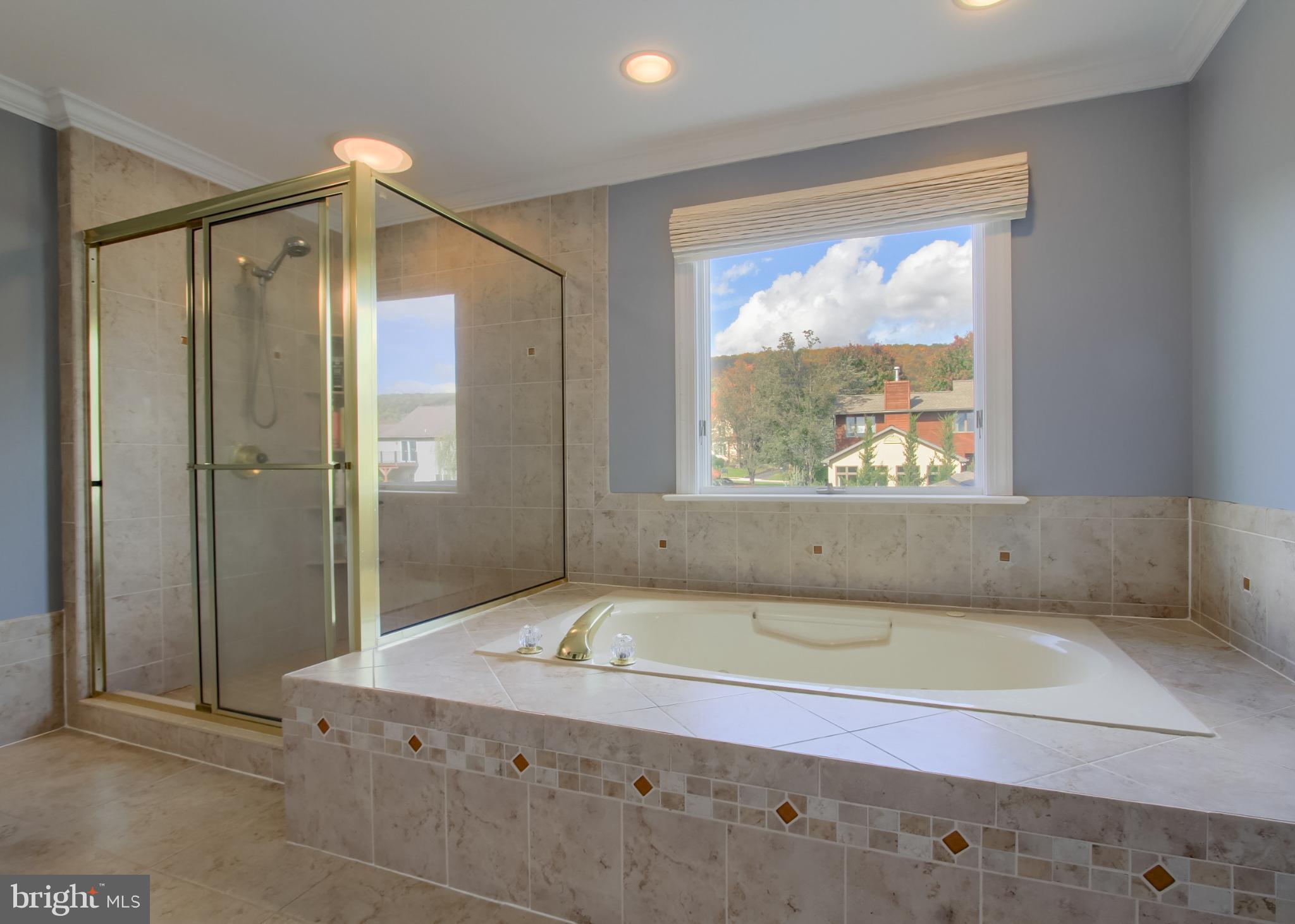 2302 Scarsborough Drive Harrisburg, PA 17112 - Photo 46 of 69 a bathroom with a tub a window and a shower