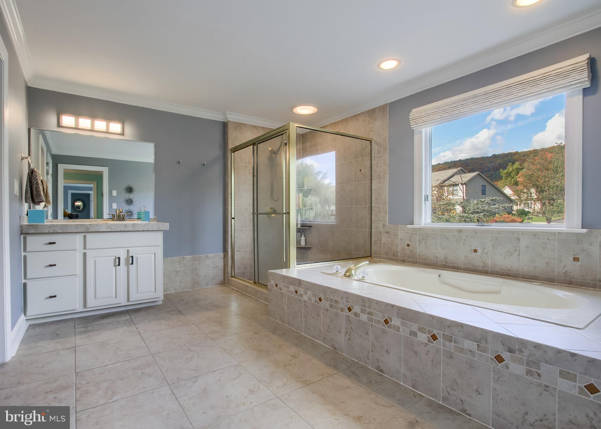 2302 Scarsborough Drive Harrisburg, PA 17112 - Photo 47 of 69 a spacious bathroom with a tub sink and mirror