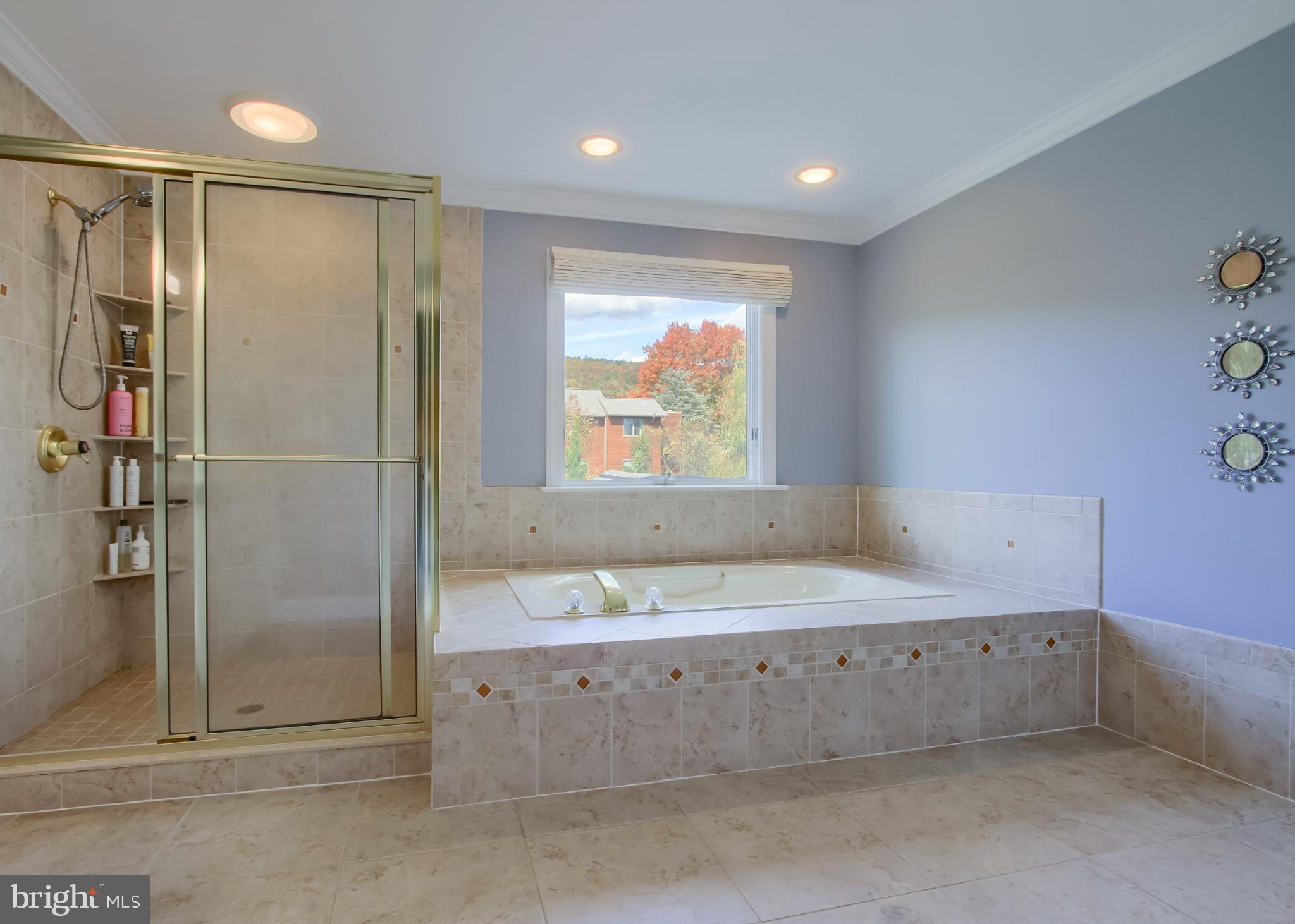 2302 Scarsborough Drive Harrisburg, PA 17112 - Photo 48 of 69 a bathroom with a bathtub and a shower