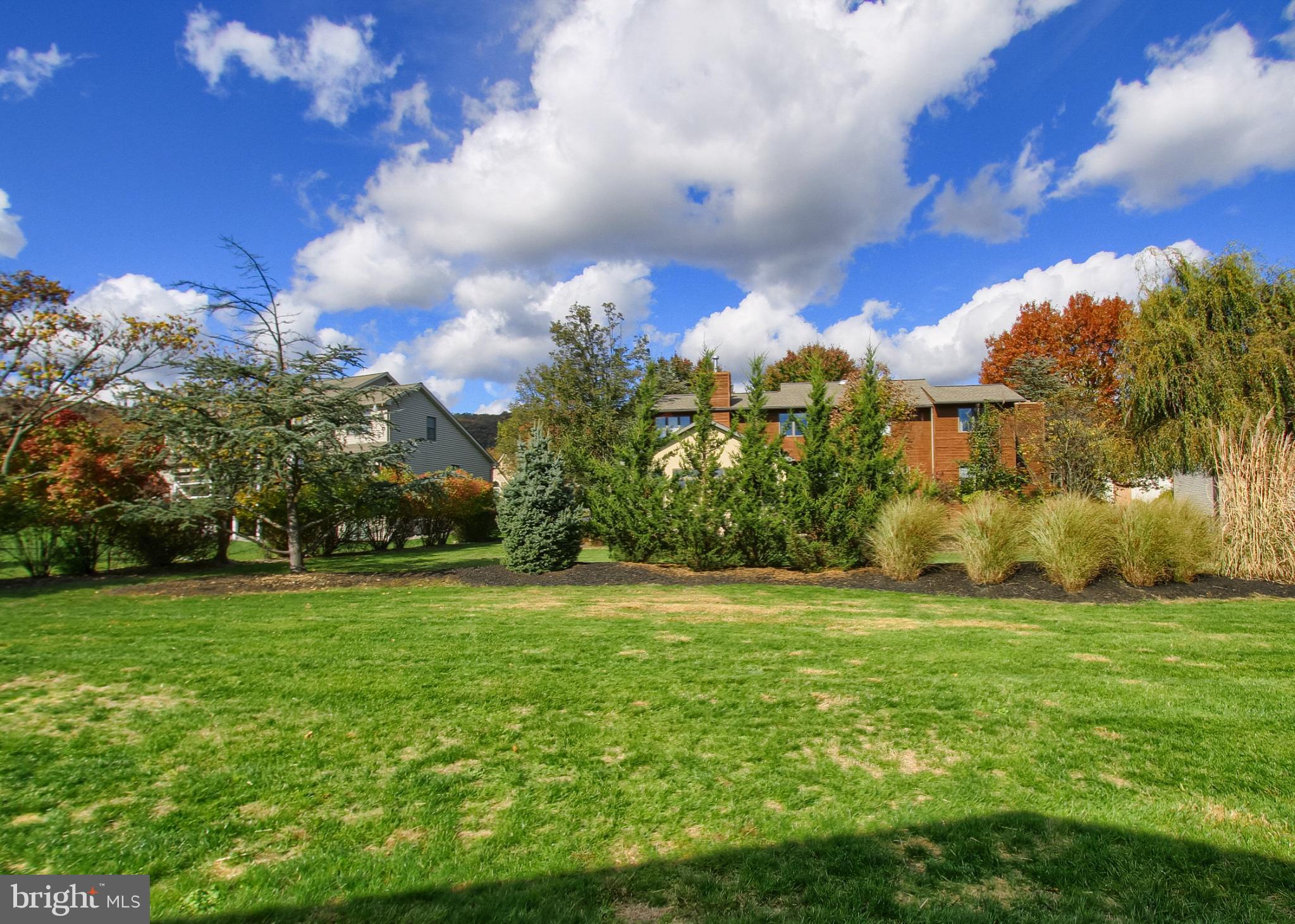 2302 Scarsborough Drive Harrisburg, PA 17112 - Photo 59 of 69 Lush green lawn under a vibrant sky.