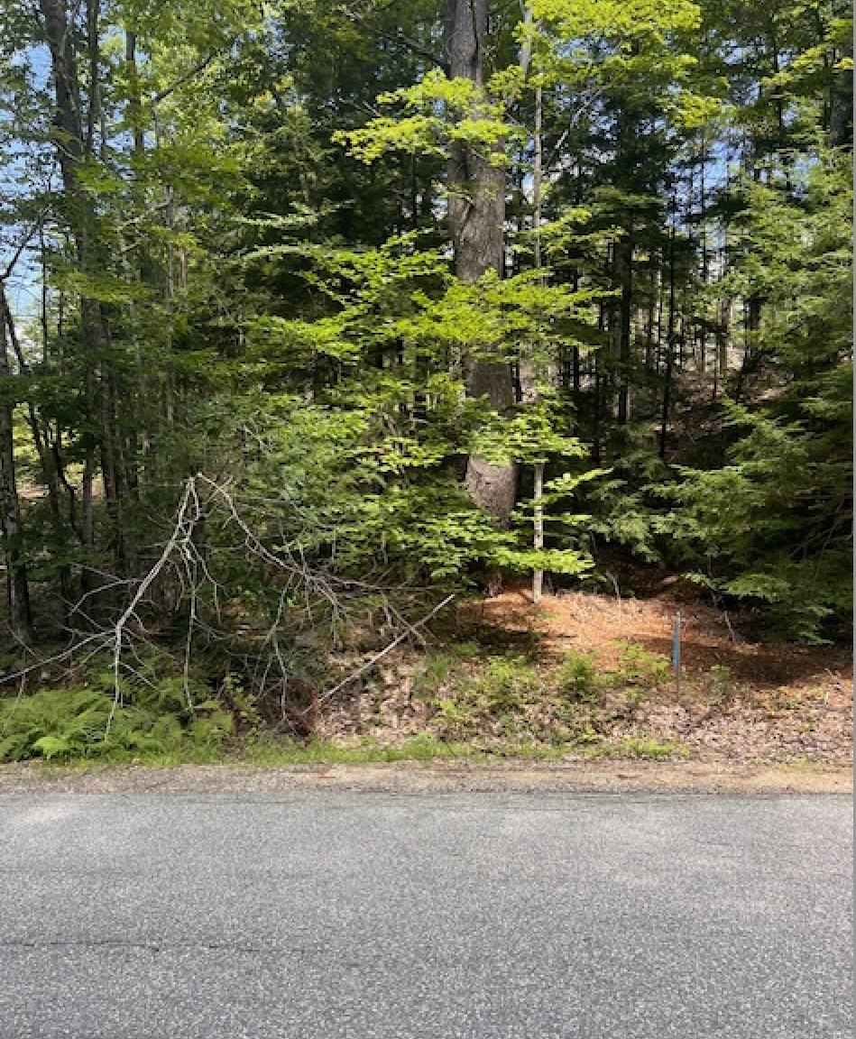 18-7 Province Road Strafford, NH 03884 - Photo 6 of 7