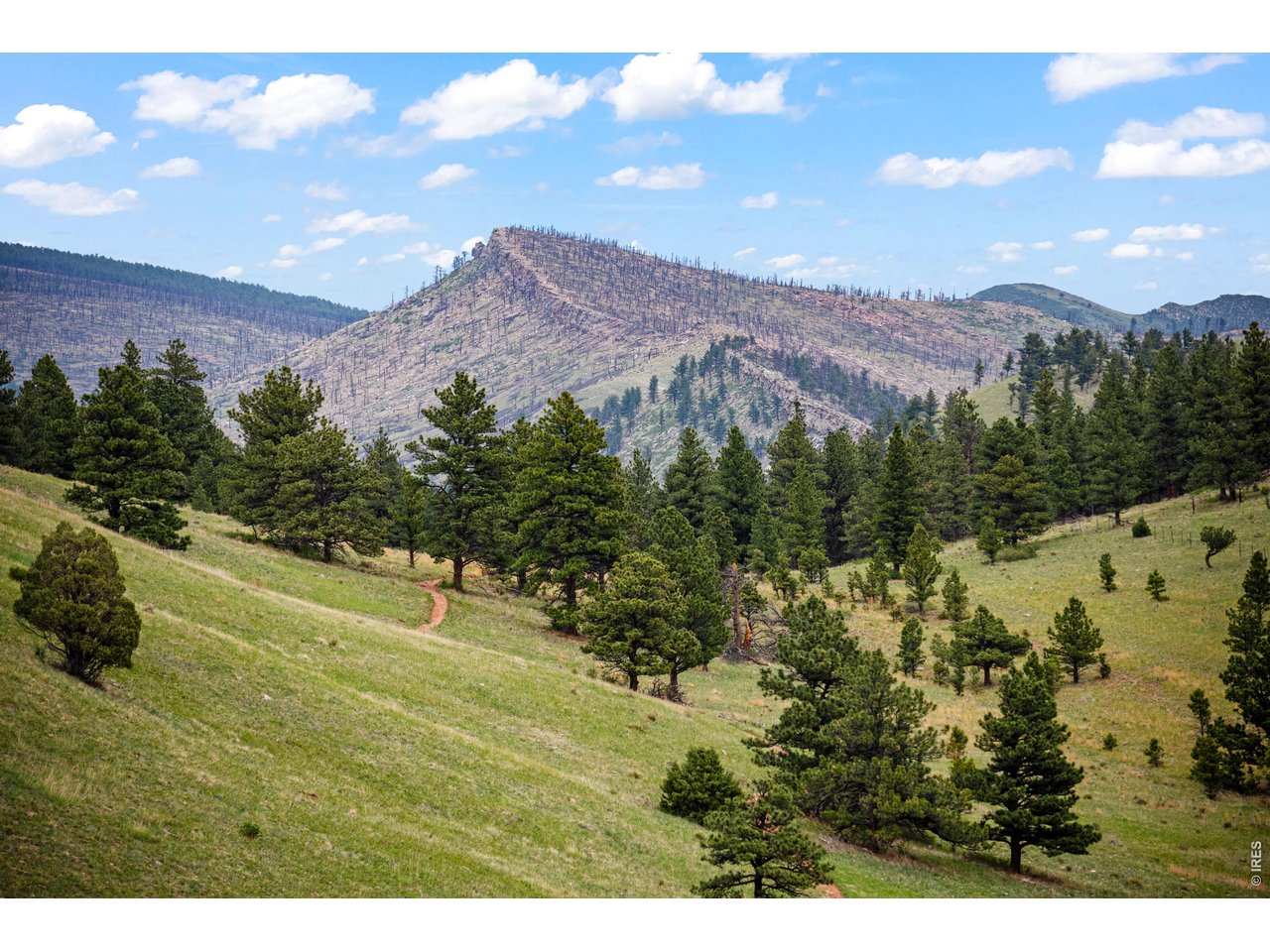 7267 Olde Stage Road Boulder, CO 80302 - Photo 30 of 32