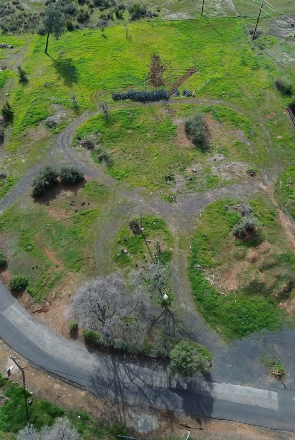 34 Wayland Road Paradise, CA 95969 - Photo 3 of 19 a view of a garden with a tree