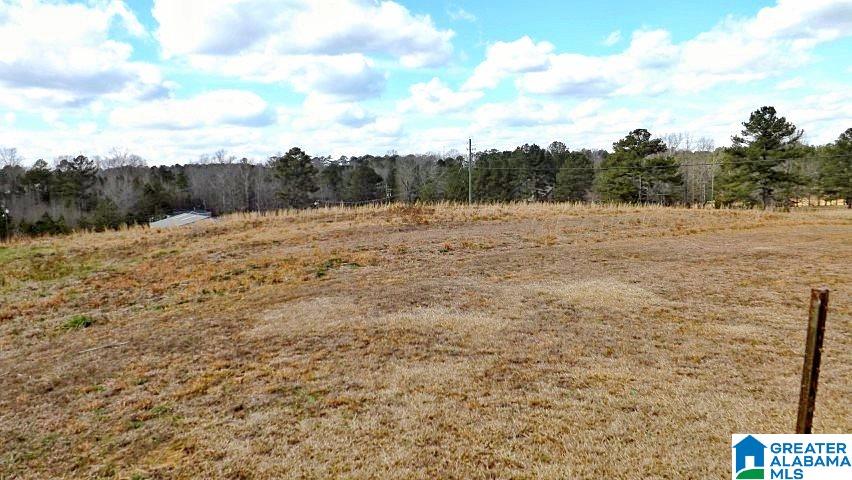 0 Highway 231, Unit 1 5 Oneonta, AL 35121 - Photo 10 of 23