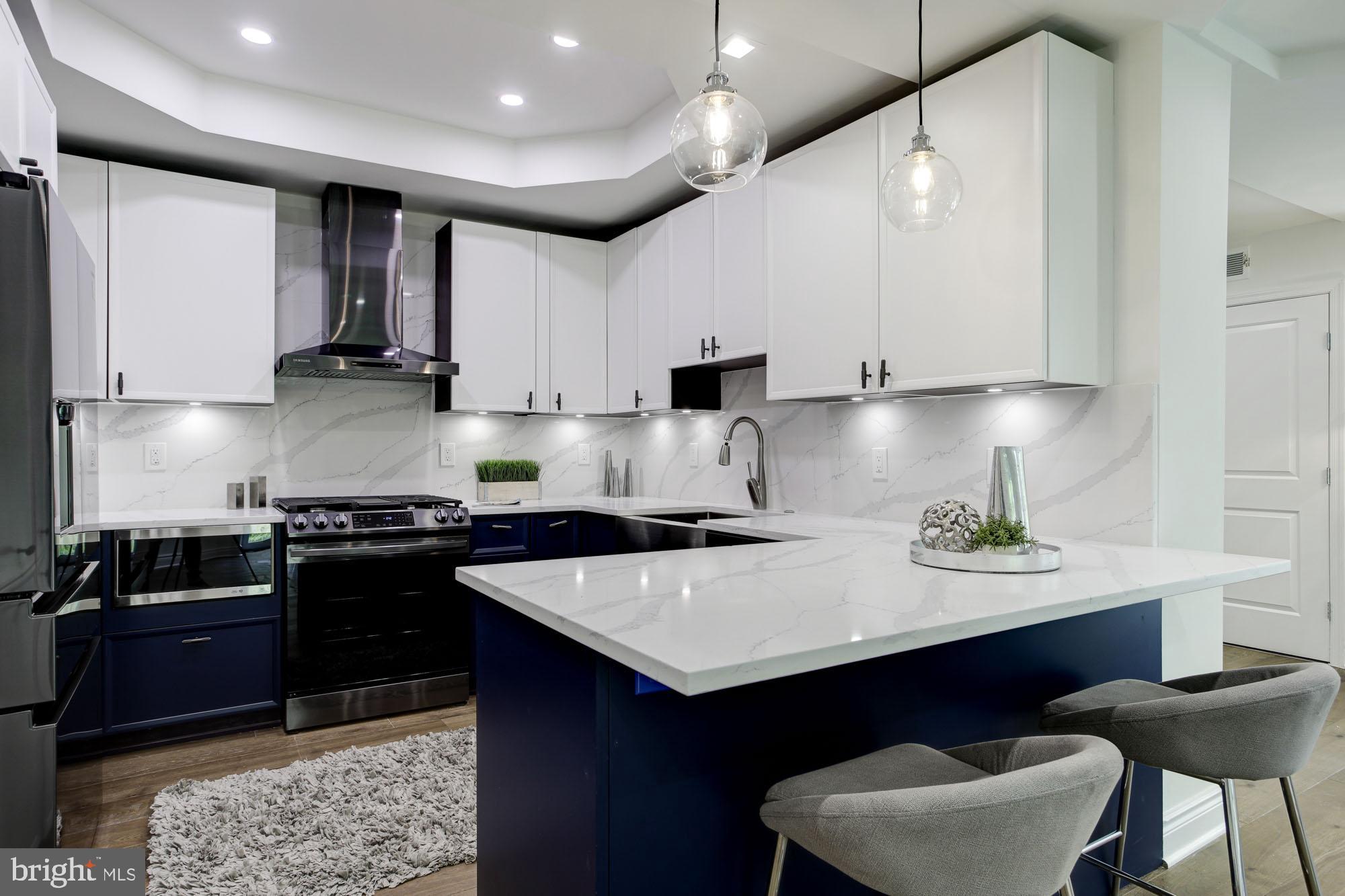 2800 Adams Mill Road Northwest, Unit 1 Washington, DC 20009 - Photo 7 of 19 Incredible modern kitchen
