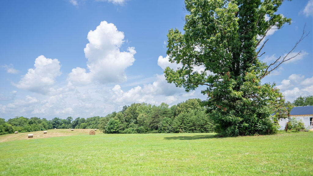 541 Rosemont Road Irvine, KY 40336 - Photo 14 of 38 541RosemontRd-10