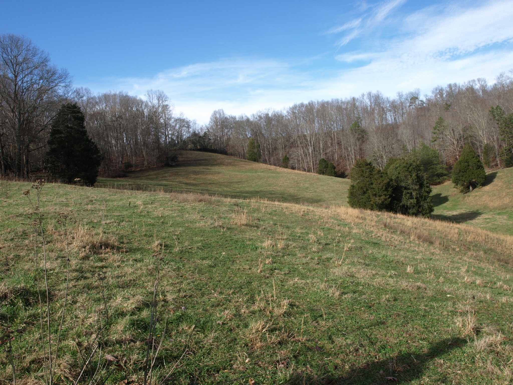 0 Big Creek Road La Follette, TN 37766 - Photo 23 of 30 Gallery Image 23