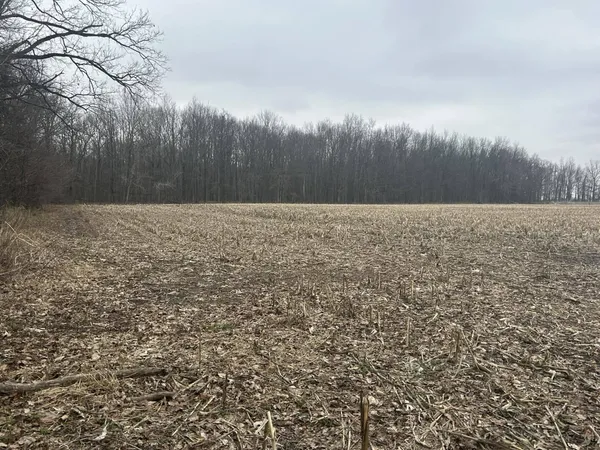 $350,000 | South Pittsford Road, Pittsford, MI 49271