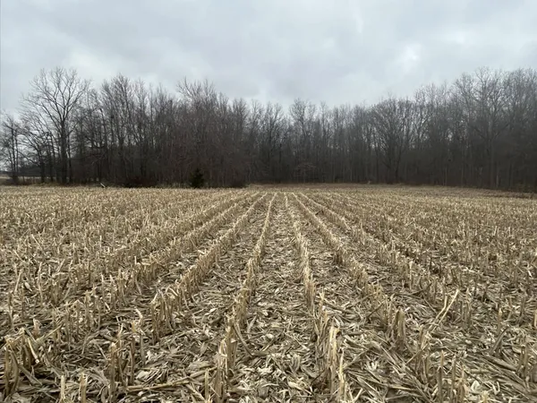 $350,000 | South Pittsford Road, Pittsford, MI 49271