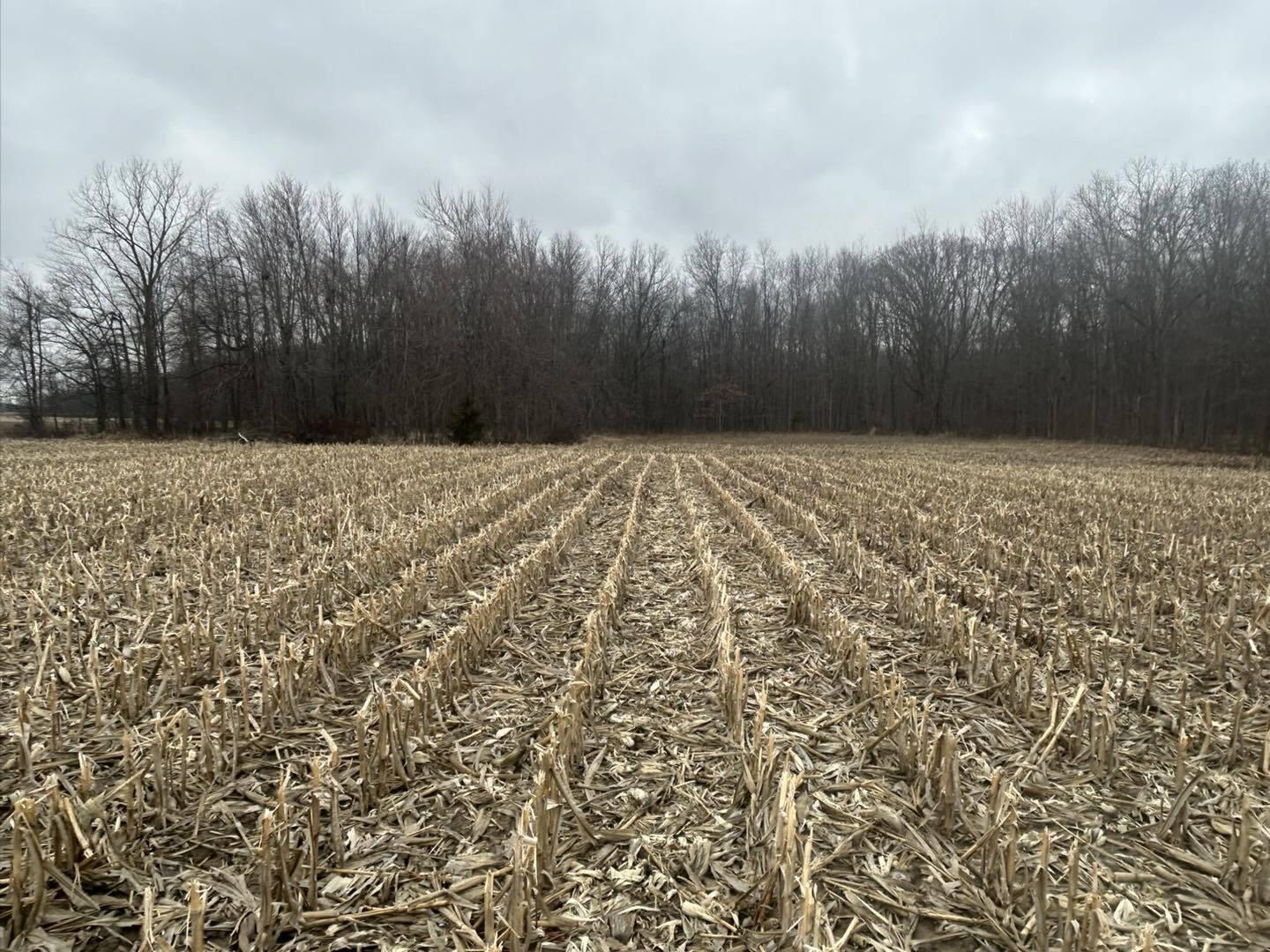 South Pittsford Road Pittsford, MI 49271 - Photo 12 of 25 Pitt9