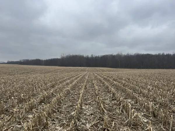 $350,000 | South Pittsford Road, Pittsford, MI 49271