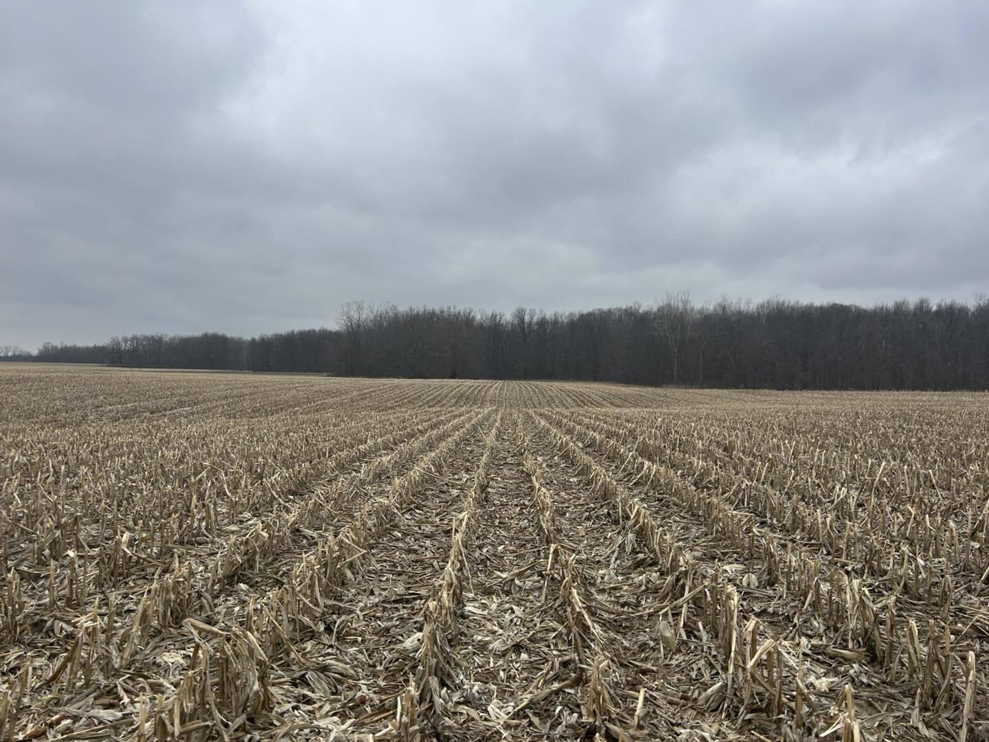 South Pittsford Road Pittsford, MI 49271 - Photo 14 of 25 Pitt7