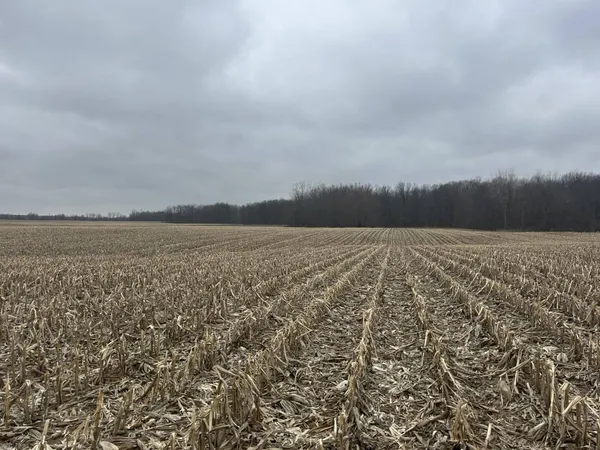 $350,000 | South Pittsford Road, Pittsford, MI 49271