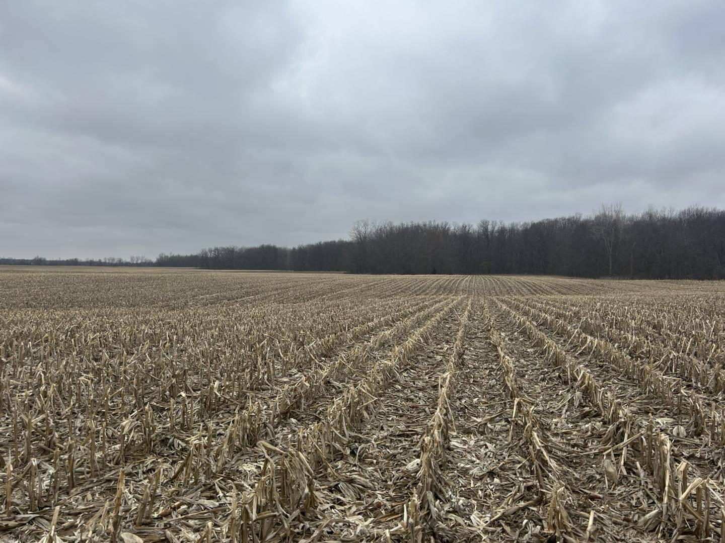 South Pittsford Road Pittsford, MI 49271 - Photo 15 of 25 Pitt6