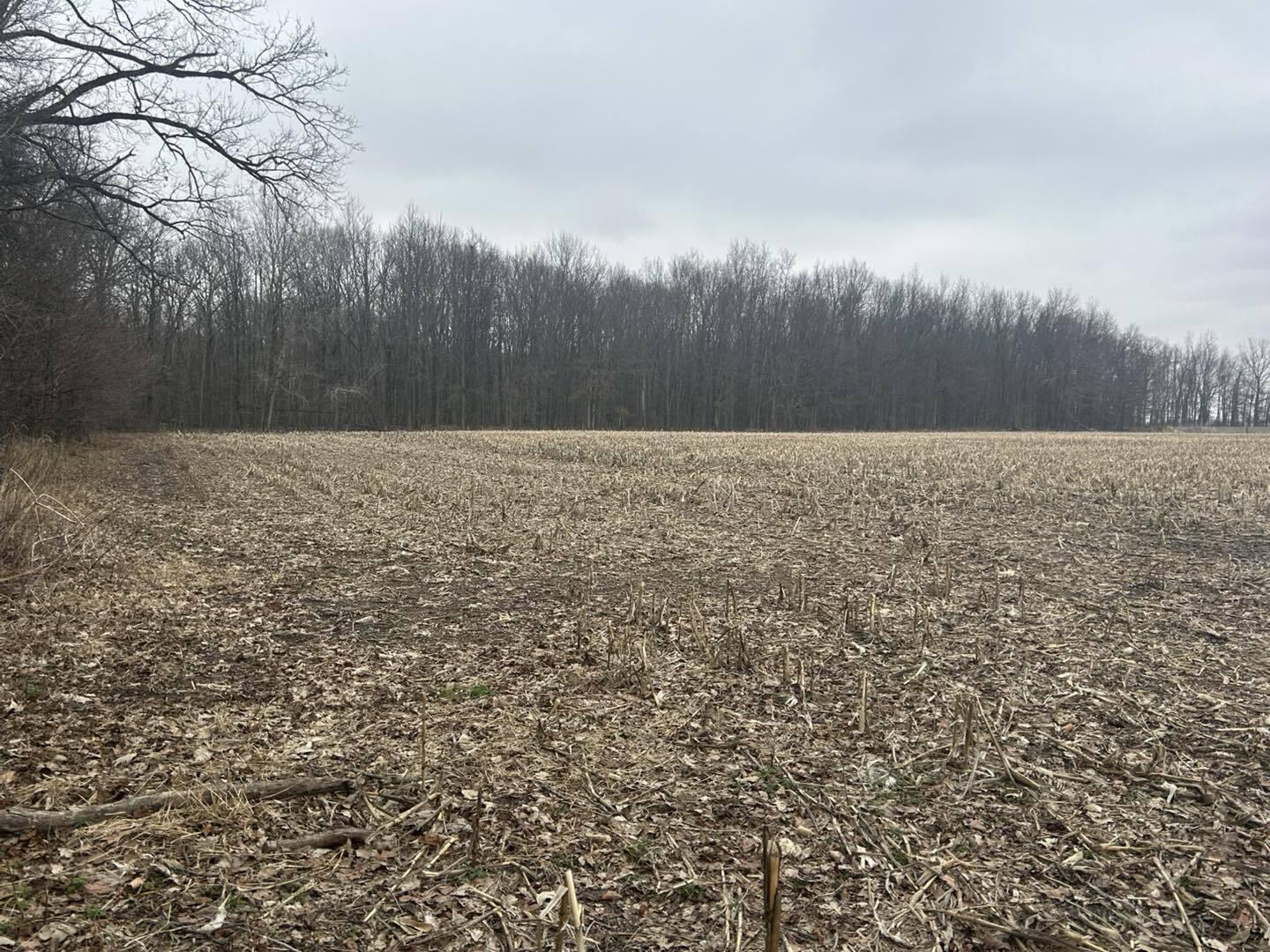 South Pittsford Road Pittsford, MI 49271 - Photo 16 of 25 Pitt5