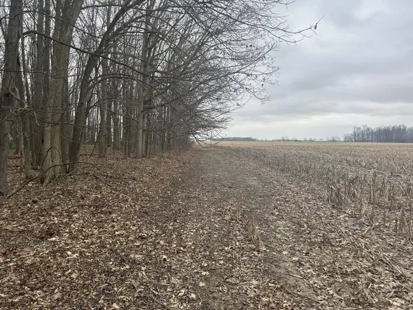 $350,000 | South Pittsford Road, Pittsford, MI 49271