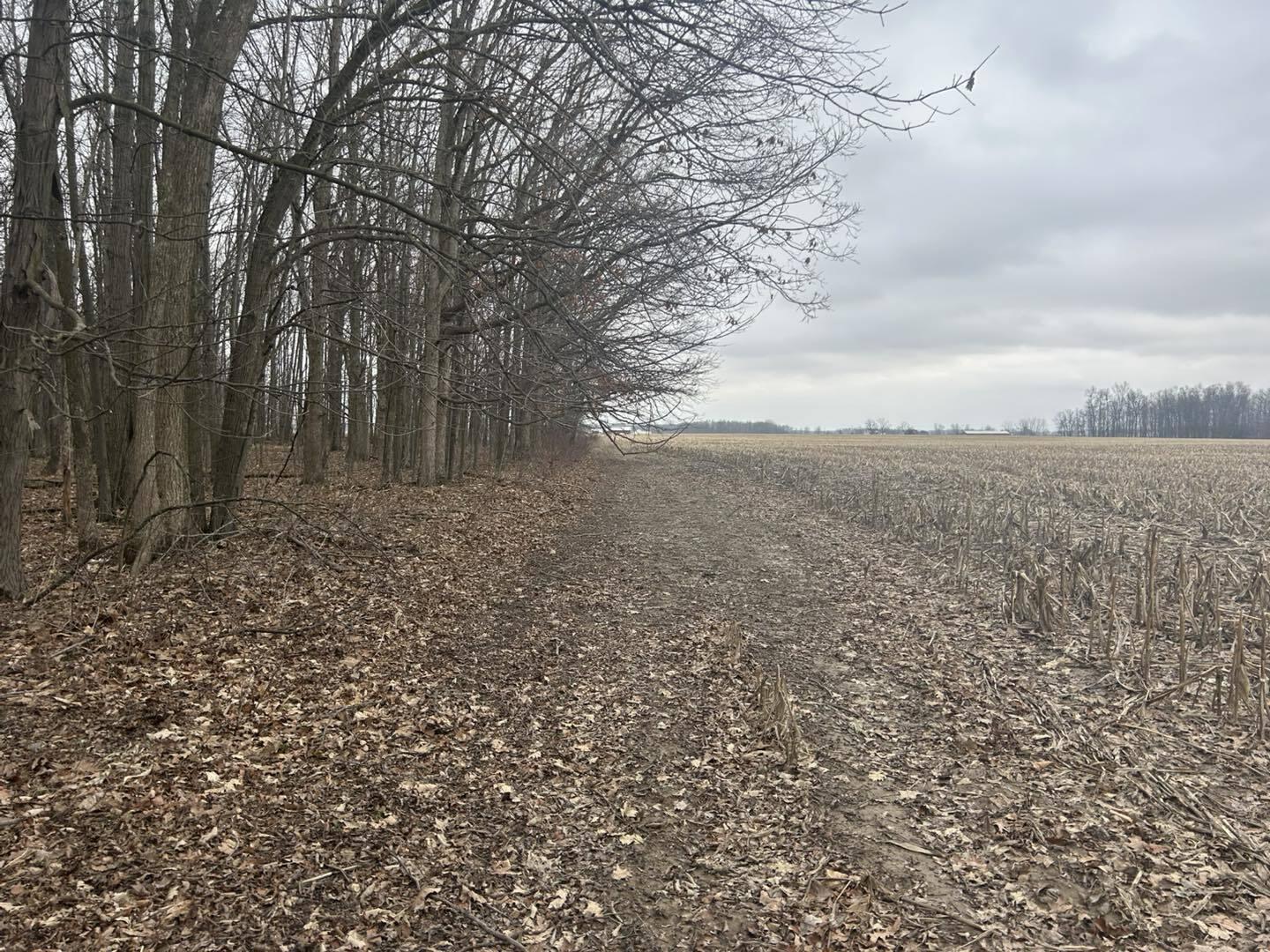 South Pittsford Road Pittsford, MI 49271 - Photo 17 of 25 Pitt4